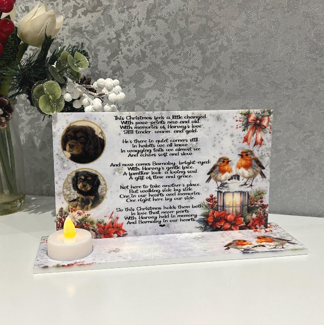 Personalised robin memorial tealight holder for Christmas